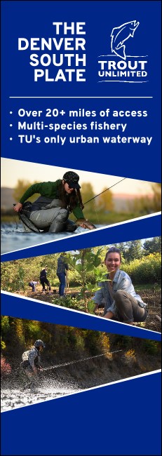 Pop-Up Banner Version 2