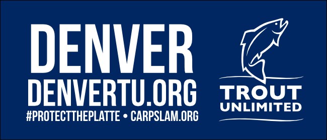 6-ft Fitted Table Cloth Blue