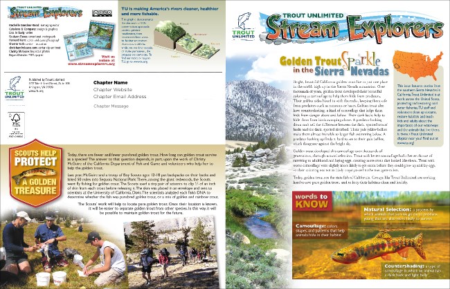 Golden Trout Newsletter Product Front