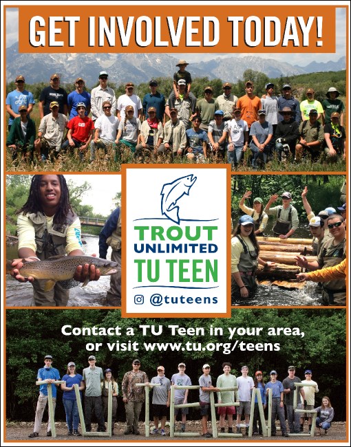 TU Teen Banner